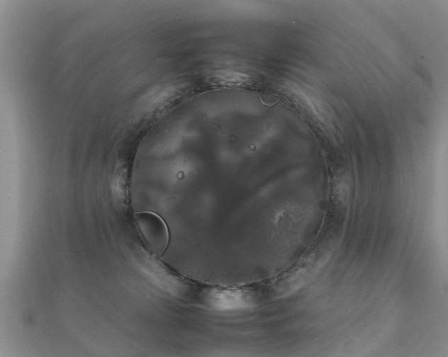 X0000112070181200908111441