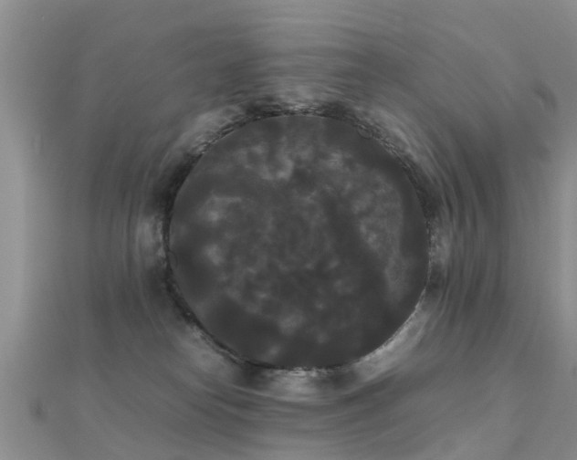 X0000112070182200908111441