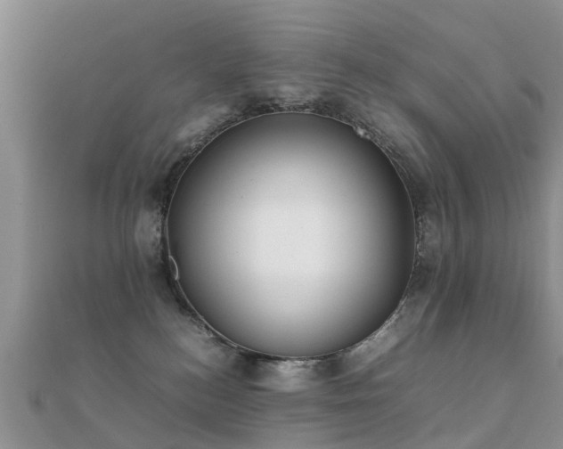 X0000112070184200908111441