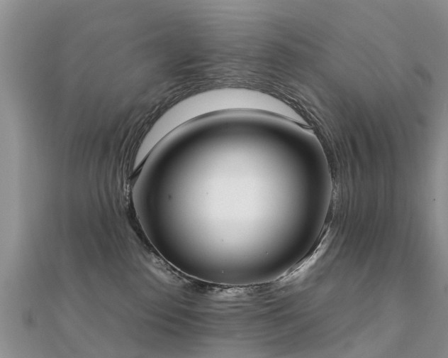 X0000112070186200908111441