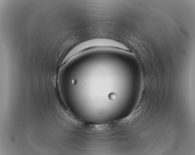 X0000112070188200908111441