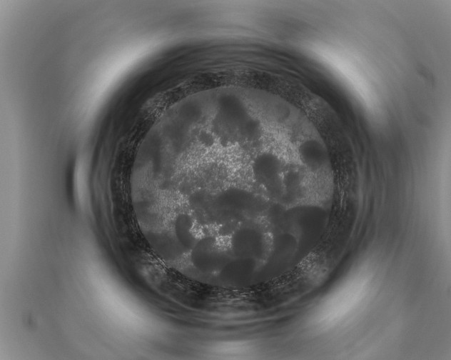 X0000112070189200908111441