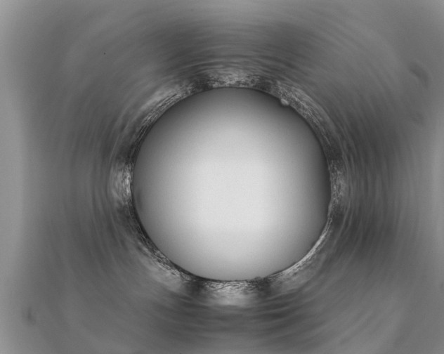 X0000112070191200908111441