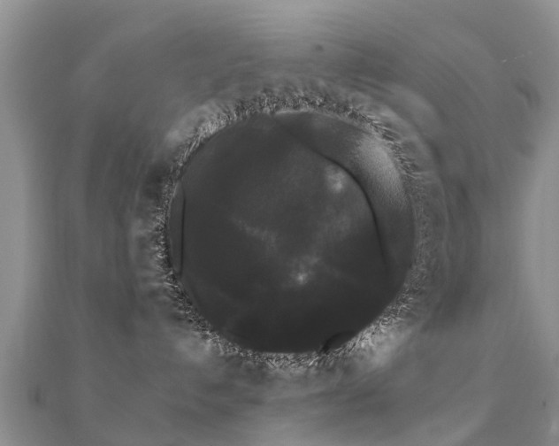 X0000112070192200908111441