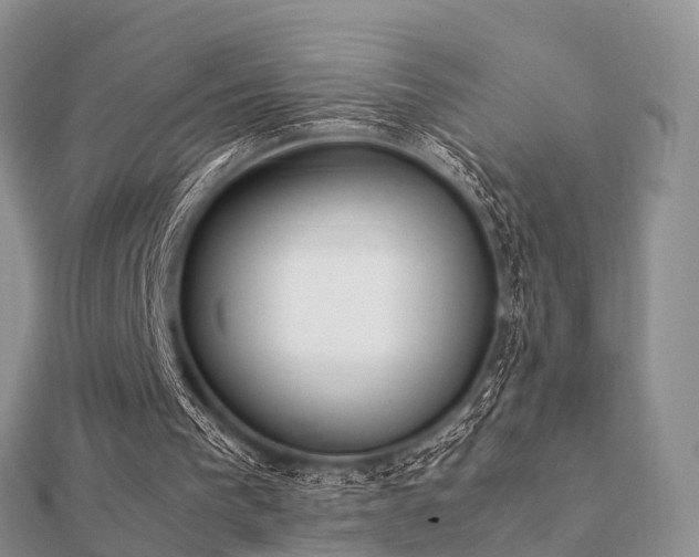 X0000112070193200908111440