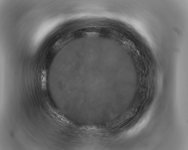 X0000112070194200908111440