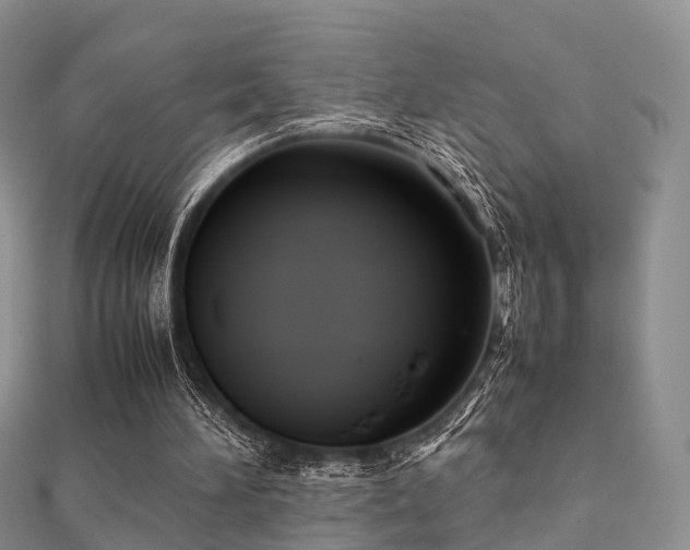 X0000112070196200908111440