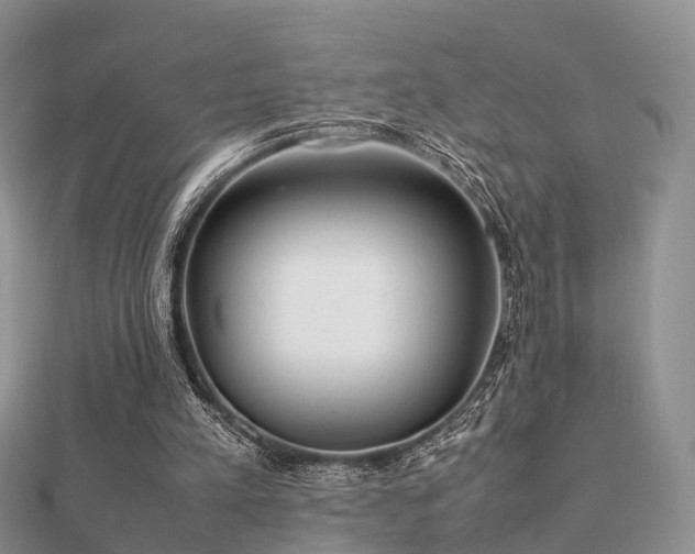 X0000112070197200908111440