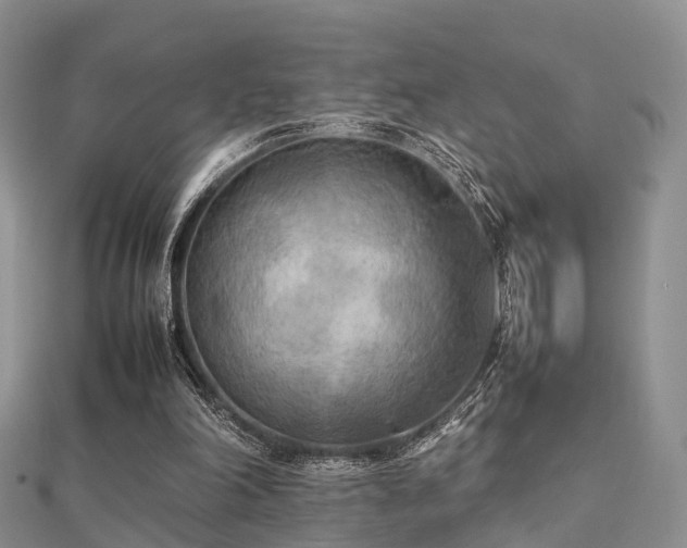 X0000112070198200908111440