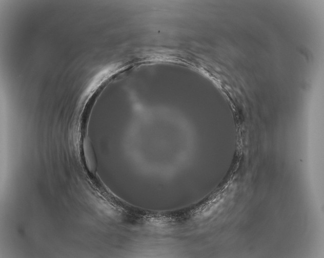 X0000112070199200908111440