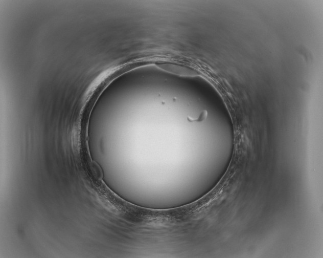 X0000112070200200908111440