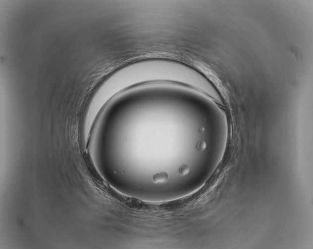 X0000112070201200908111440