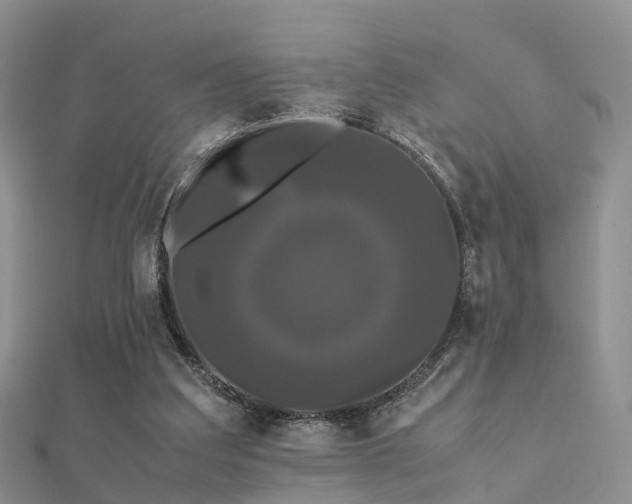 X0000112070203200908111440