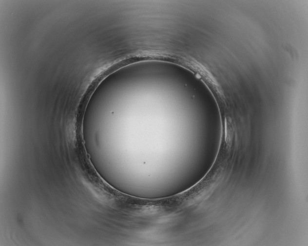 X0000112070204200908111440