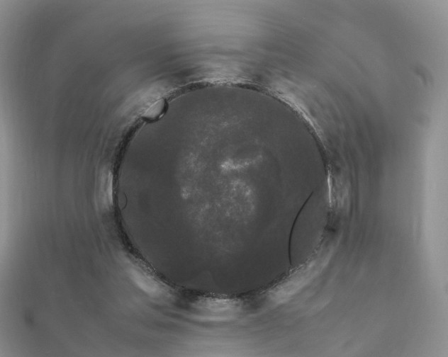 X0000112070205200908111440