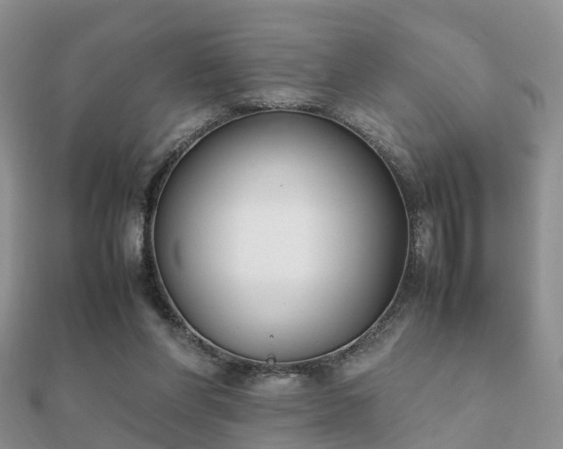 X0000112070206200908111440