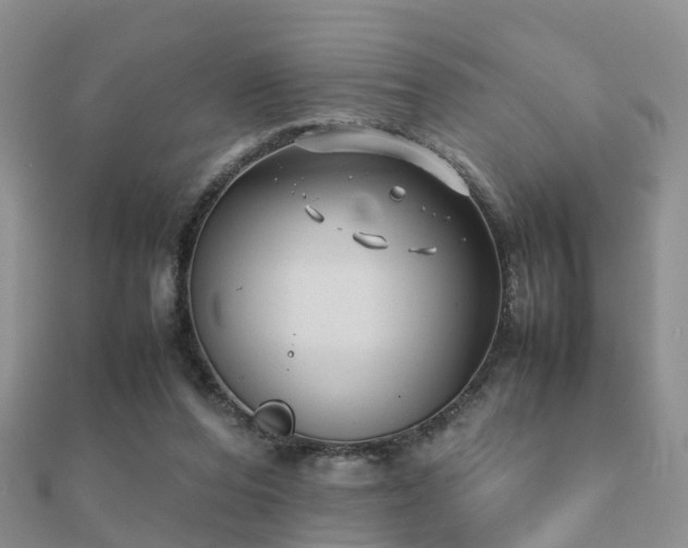 X0000112070208200908111440