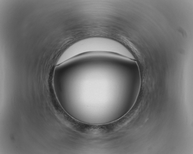 X0000112070209200908111440