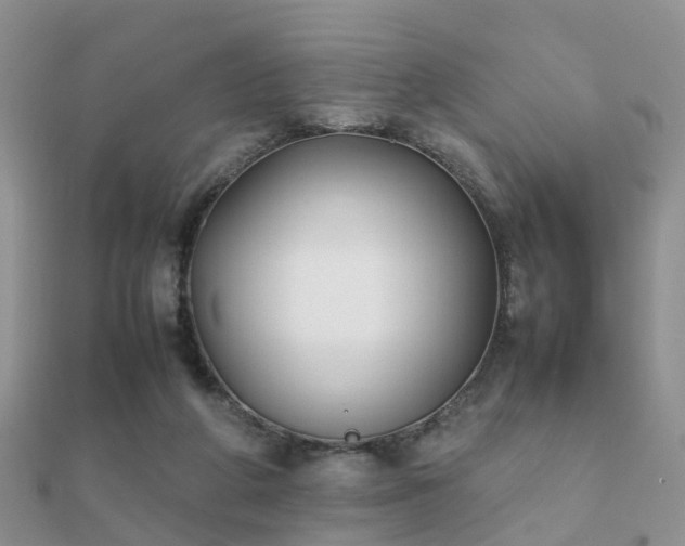 X0000112070210200908111440