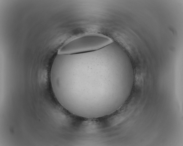 X0000112070211200908111440