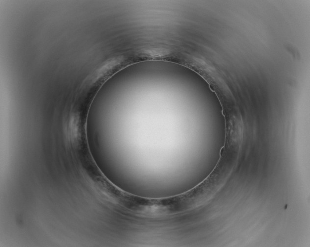 X0000112070212200908111440