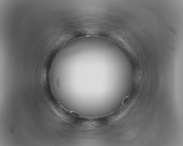 X0000112070213200908111440