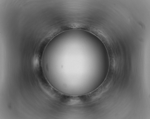 X0000112070214200908111440