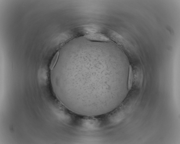 X0000112070215200908111440