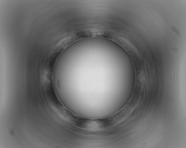 X0000112070218200908111440