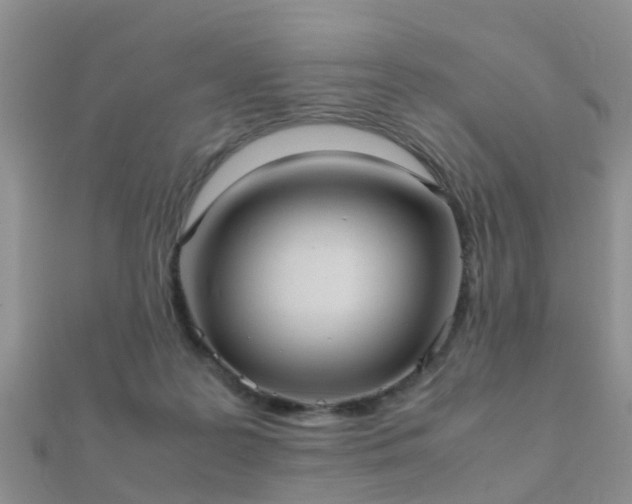 X0000112070219200908111440