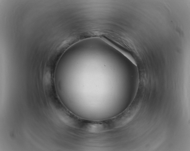 X0000112070220200908111440