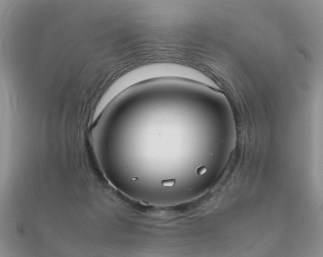 X0000112070221200908111440