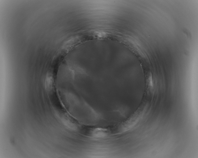 X0000112070222200908111440