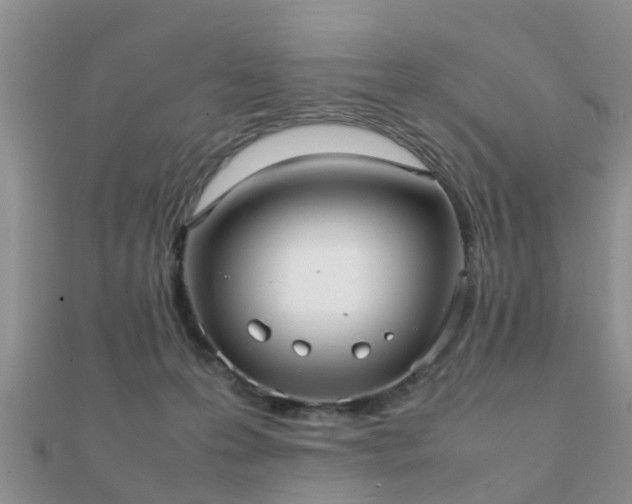 X0000112070223200908111440