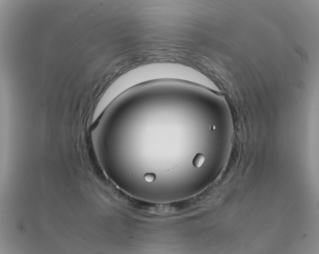 X0000112070225200908111440