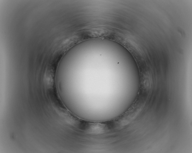 X0000112070226200908111440