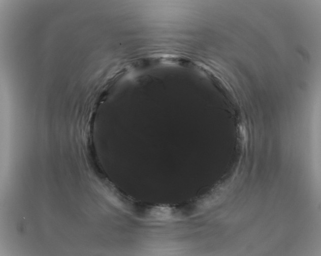 X0000112070227200908111440