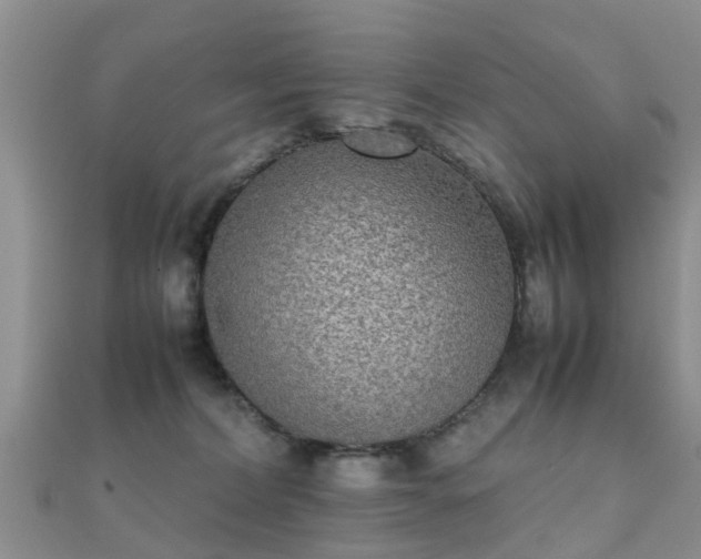 X0000112070228200908111440