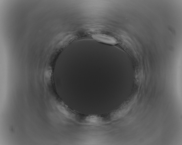 X0000112070231200908111440