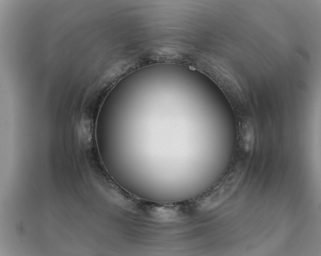 X0000112070232200908111440