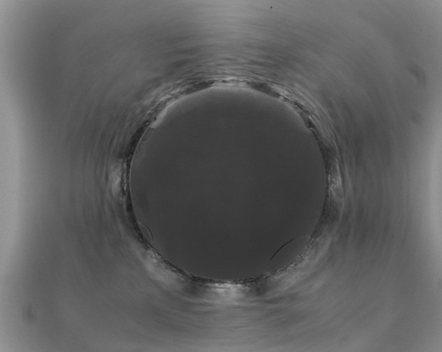 X0000112070233200908111440