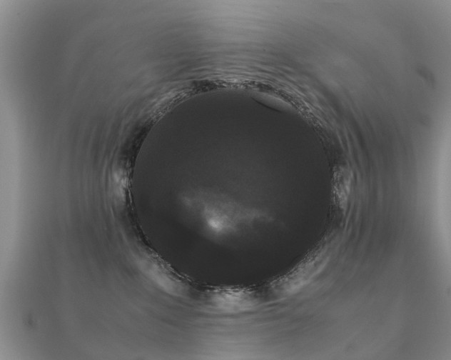 X0000112070235200908111440