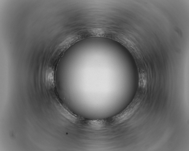 X0000112070238200908111440