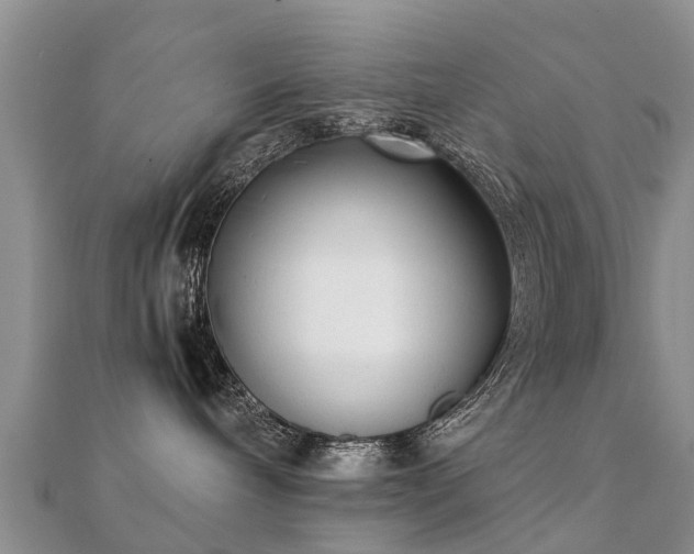 X0000112070240200908111440