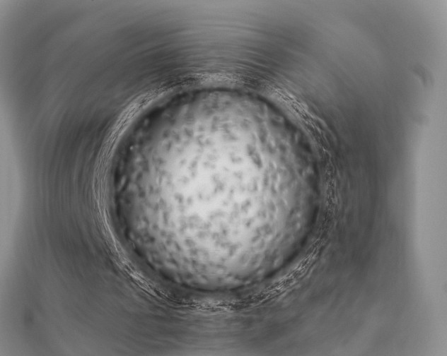 X0000112070241200908111439