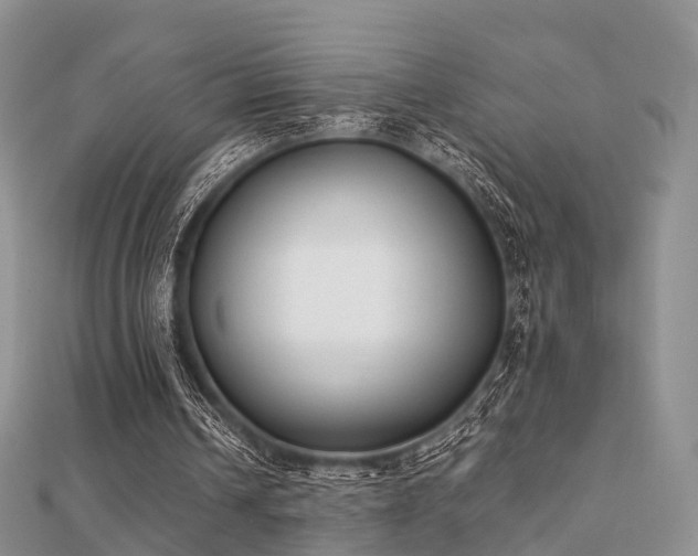 X0000112070242200908111439