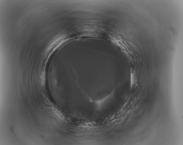 X0000112070243200908111439