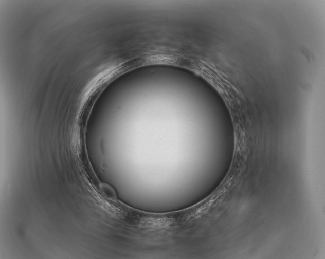 X0000112070245200908111439