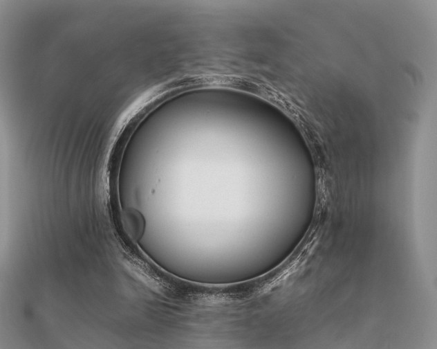 X0000112070246200908111439