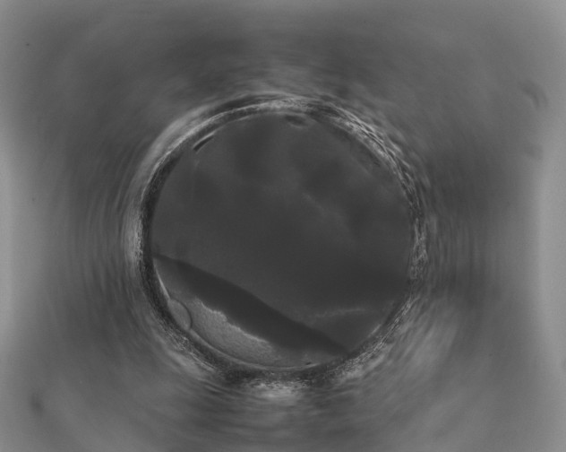 X0000112070247200908111439